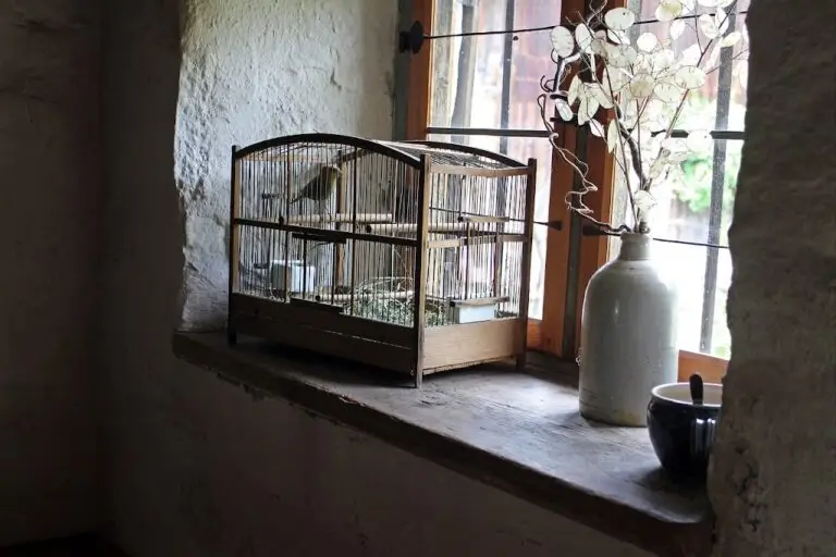 How to Build A DIY Bird Cage | Step-by-Step Guide